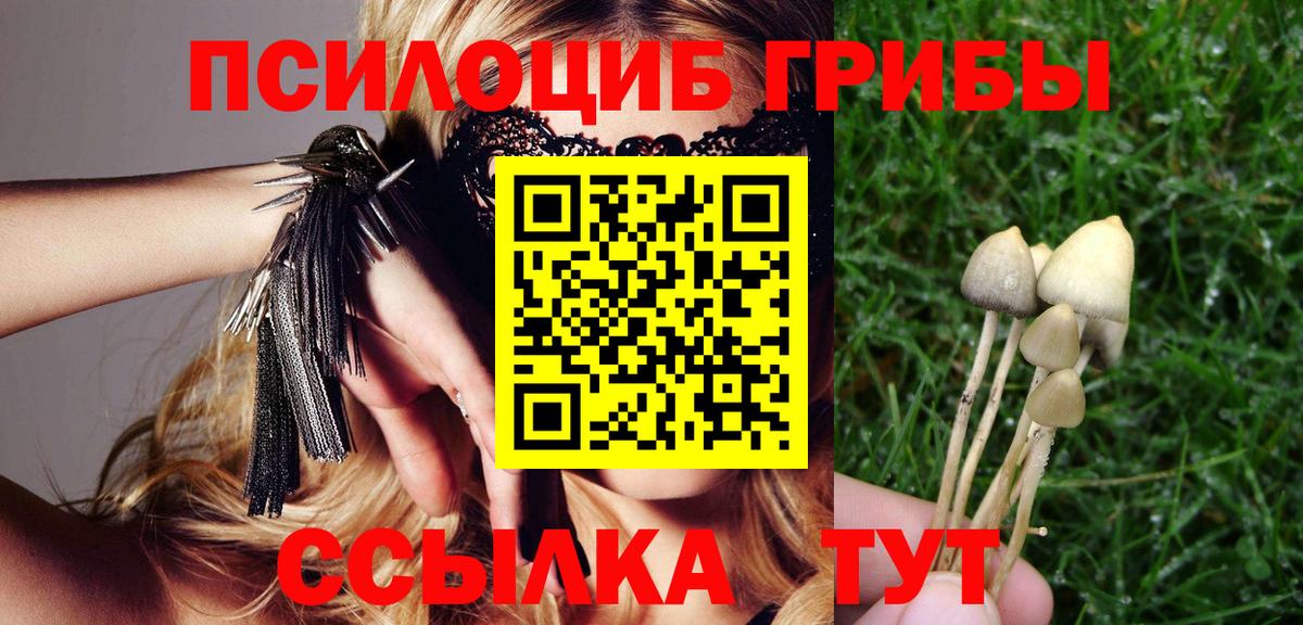 Галлюциногенные грибы MAGIC MUSHROOMS  Глазов  Псилоцибиновые грибы MAGIC MUSHROOMS 